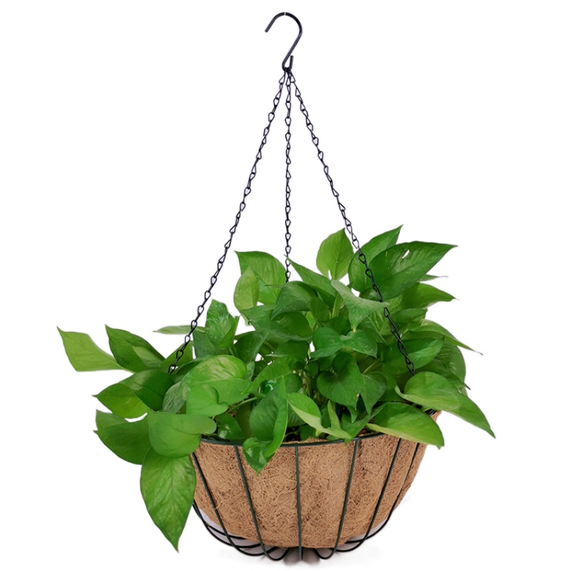 Zhaosheng Hardware - Green Hanging Flower Basket Outdoor Porch Pots Hanger Home Garden Wire Hanging Basket Planter