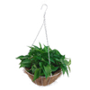 flowers hanging baskets