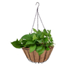 Zhaosheng Hardware - Black Outdoor Hanging Plant Basket Round Coco Coir Liner Coconut Hanging Basket