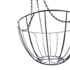petunias hanging basket