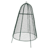 cloches for garden