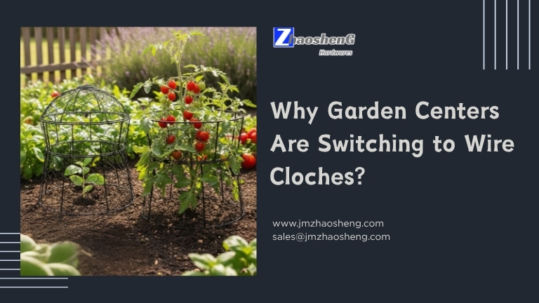 Why Garden Centers Are Switching To Wire Cloches?